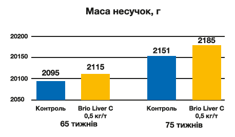 Masa nesuchok
