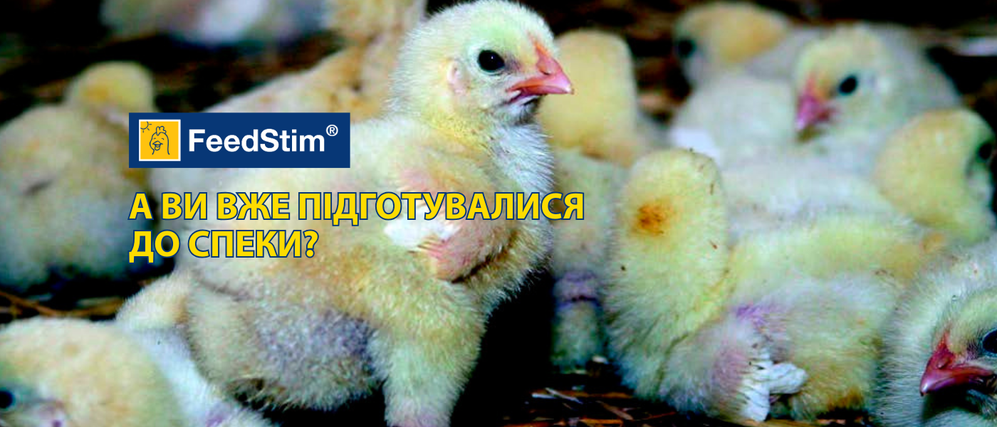 pidgotuvalusya do speku